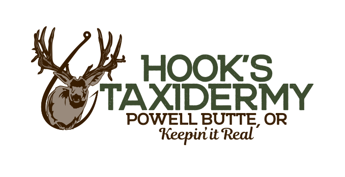 Hooks Taxidermy Logo transparent small 1